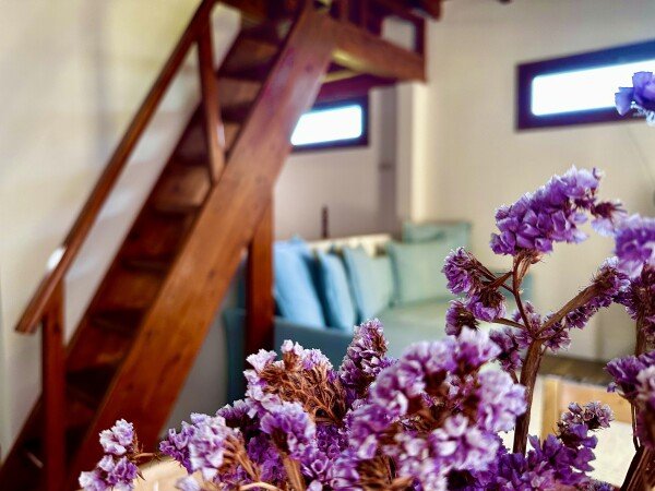 Apartment 1 bedroom, with sea view