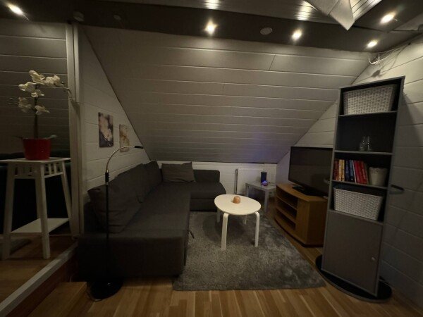 Appartement 1 slaapkamer, met wifi