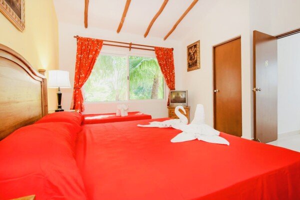 Aparthotel 1 bedroom, with pool