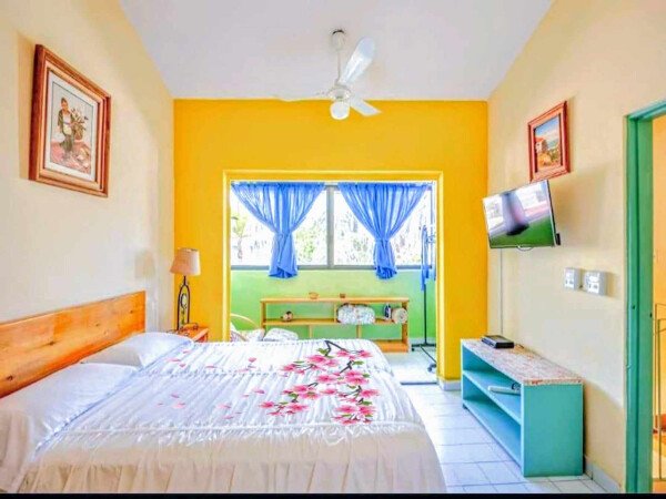 Appartement 1 chambre, avec jardin
