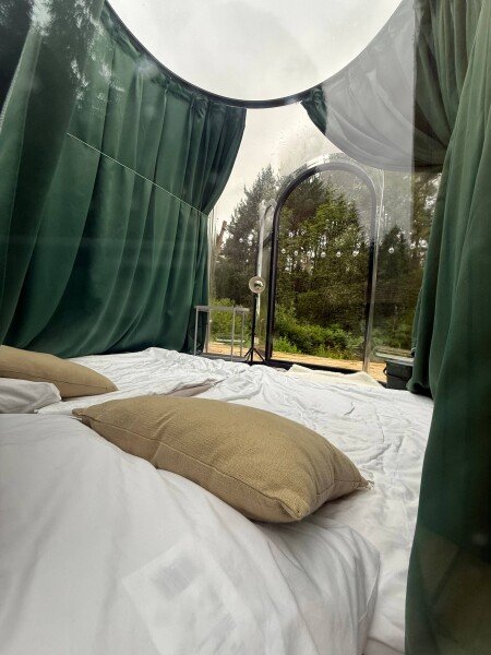 Apart Hotel 1 slaapkamer, met tuin