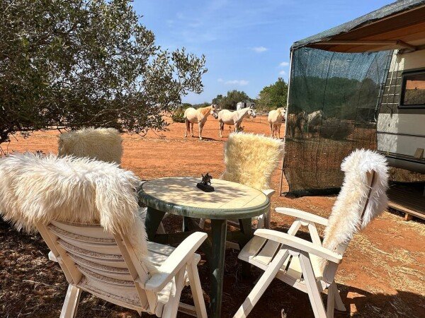 Camping / Mobil Home 4 voyageurs, avec wifi