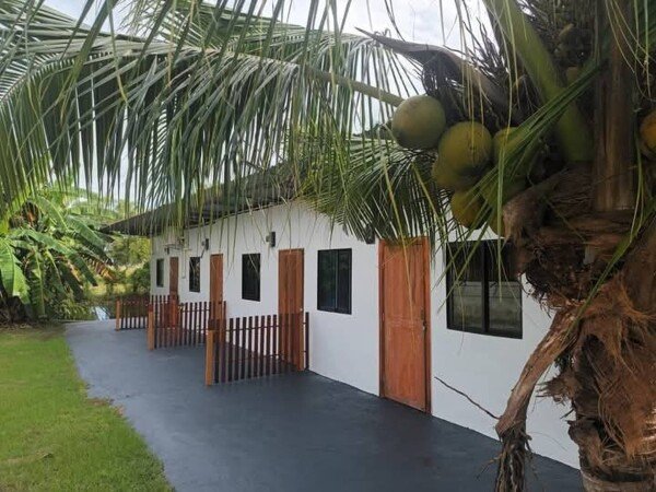 Apartment 1 bedroom, with garden