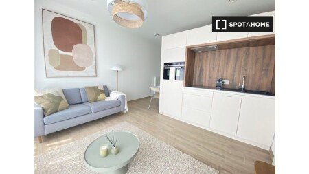 Maison 1 chambre, avec climatisation