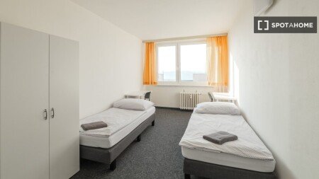 Chambre 4 voyageurs, avec wifi