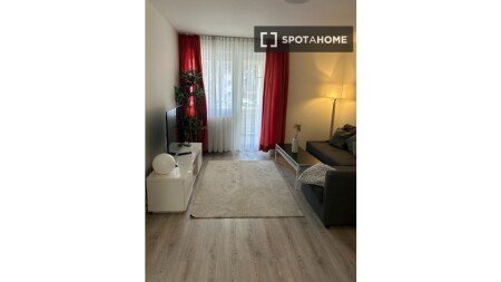 Apartment 1 bedroom, with air conditioning