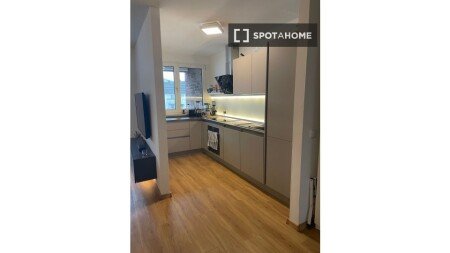 Apartment 1 bedroom, with air conditioning