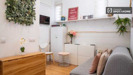 Apartment 1 bedroom, with air conditioning