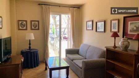 Apartamento 1 habitación, con wifi