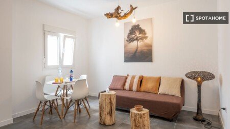 Apartment 2 bedrooms, with air conditioning