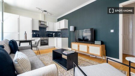 Apartment 1 bedroom, with wifi