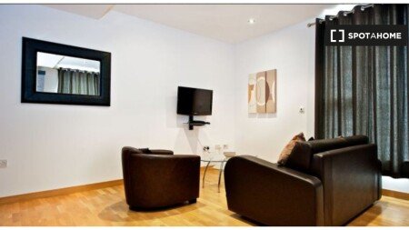 Apartment 1 bedroom, with air conditioning