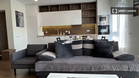 Apartment 1 bedroom, with wifi