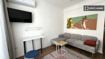 Apartment 1 bedroom, with air conditioning