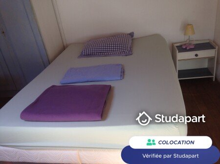 Chambre 1 voyageur