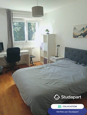Chambre 1 voyageur