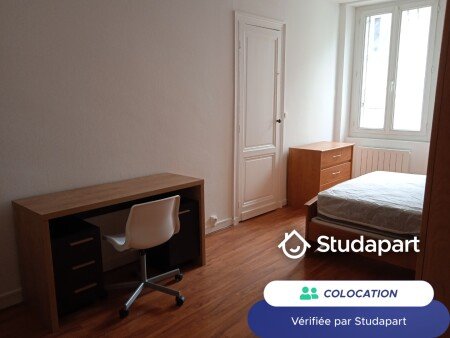 Chambre 1 voyageur