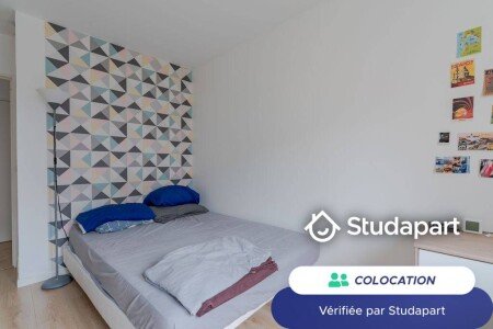 Chambre 1 voyageur