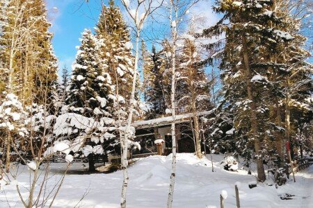 Casa 2 camere, con giardino