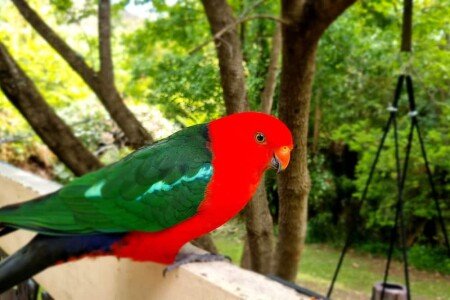 House 2 bedrooms, with garden