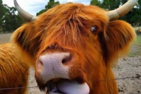 Bed and breakfast 3 bedrooms, with air conditioning