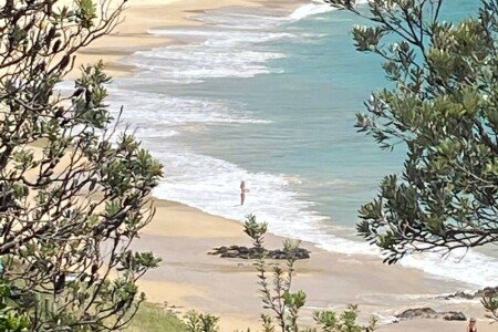 House 3 bedrooms, with garden