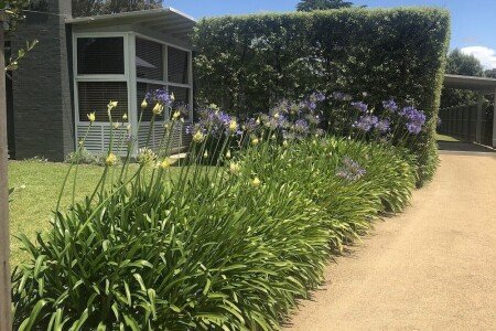 House 1 bedroom, with gym