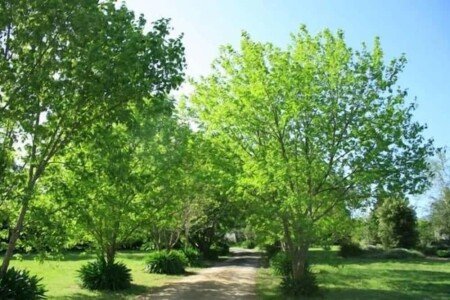 Bed and breakfast 5 bedrooms, with pool