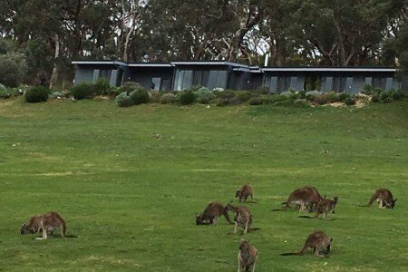 Bed and breakfast 2 bedrooms, with gym