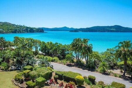 Apartment 2 bedrooms, with pool