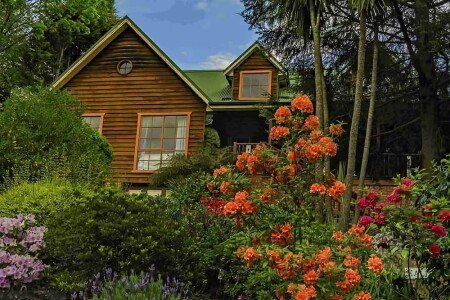 Bed and breakfast 1 bedroom, with breakfast