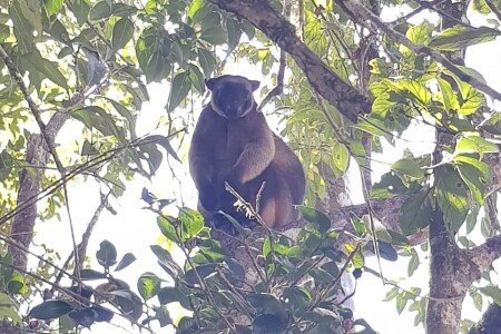 House 1 bedroom, with fireplace