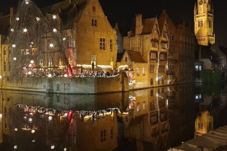 @todoptApartment 5 bedrooms, with garden