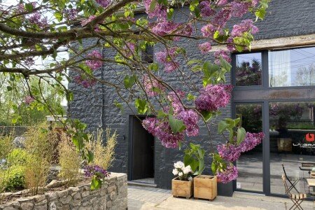 Maison design, 4 chambres, avec jardin