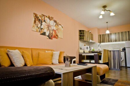 Appartamento 1 camera, con aria condizionata