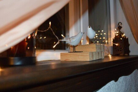 Bed and breakfast 1 camera, con giardino