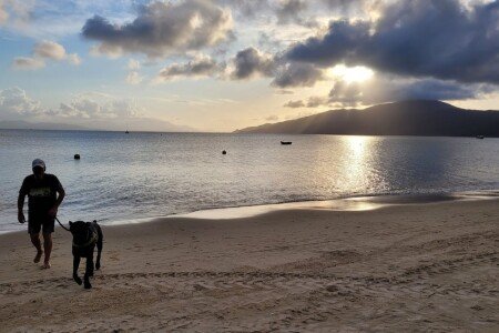 Apartamento 1 quarto, com jardim