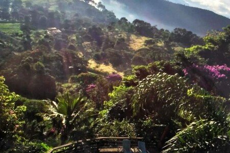 Apartamento 1 quarto, com piscina