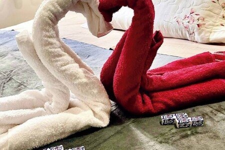 Casa 1 quarto, com jardim