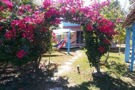 Casa 1 quarto, com jardim