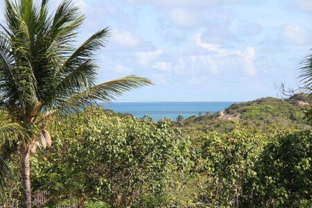 Casa 1 quarto, com piscina