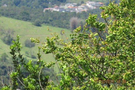 Casa 1 quarto, com piscina