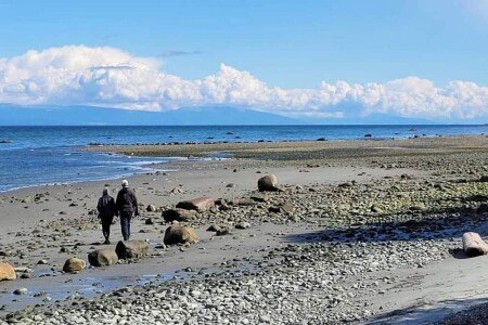 Apartment 1 bedroom, with garden