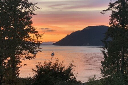 House 1 bedroom, with garden