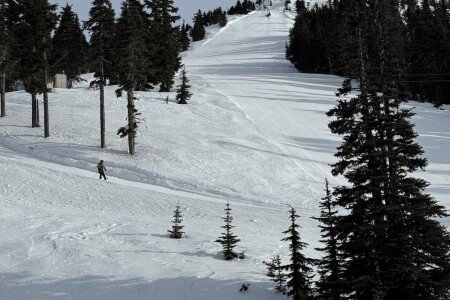 Appartement 2 chambres, avec jacuzzi