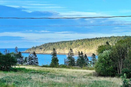 House 3 bedrooms, with garden