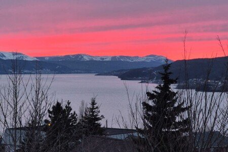 House 2 bedrooms, with garden