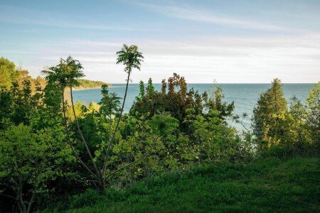 Maison 2 chambres, avec jardin
