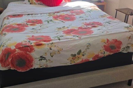 Maison 1 chambre, avec climatisation