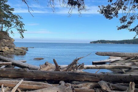 House 2 bedrooms, with garden